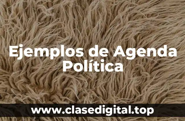 Ejemplos de Agenda Política