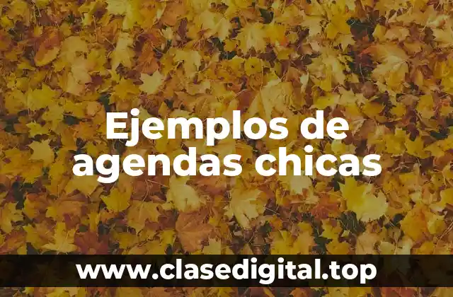Ejemplos de agendas chicas