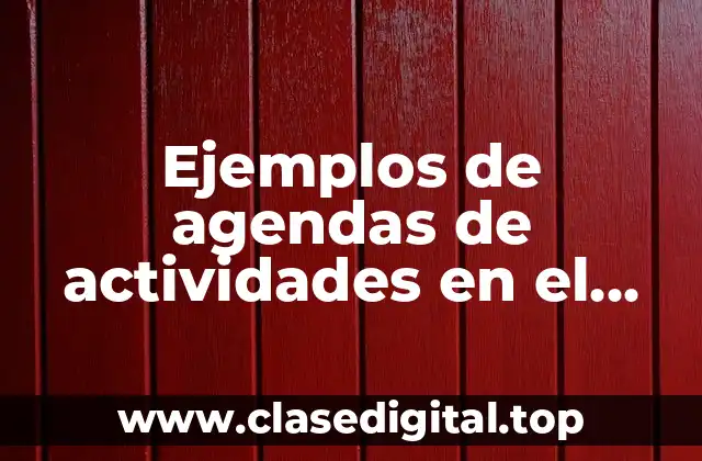 Ejemplos de agendas de actividades en el hogar