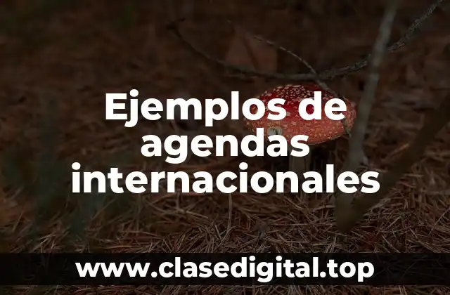 Ejemplos de agendas internacionales
