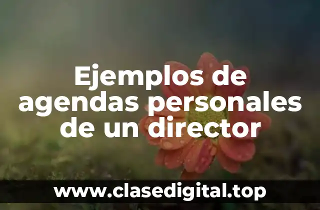 Ejemplos de agendas personales de un director