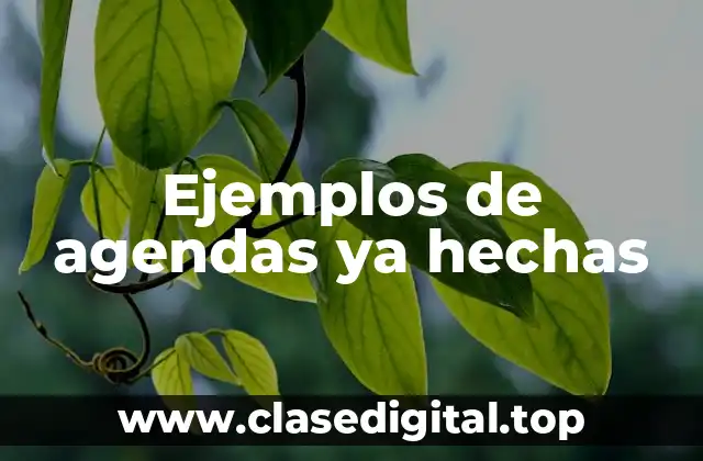 Ejemplos de agendas ya hechas