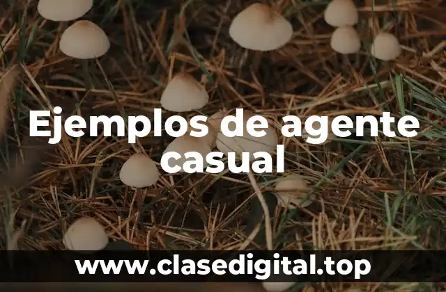 Ejemplos de agente casual