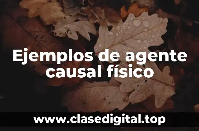 Ejemplos de agente causal físico