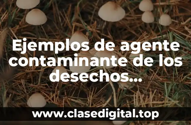 Ejemplos de agente contaminante de los desechos industriales del suelo