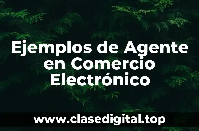 Ejemplos de Agente en Comercio Electrónico