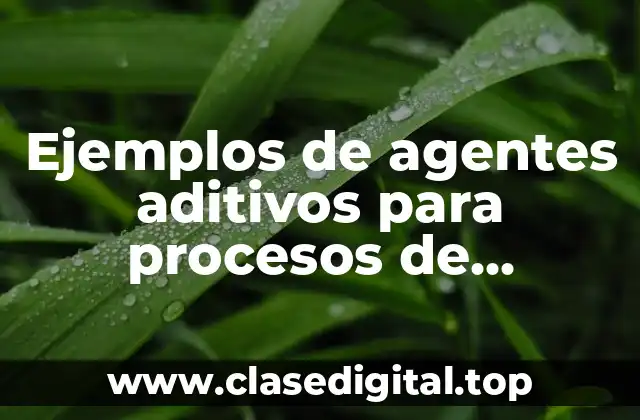 Ejemplos de agentes aditivos para procesos de electrolisis y Significado