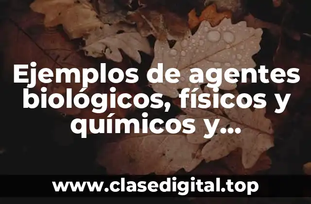 Ejemplos de agentes biológicos, físicos y químicos y Significado