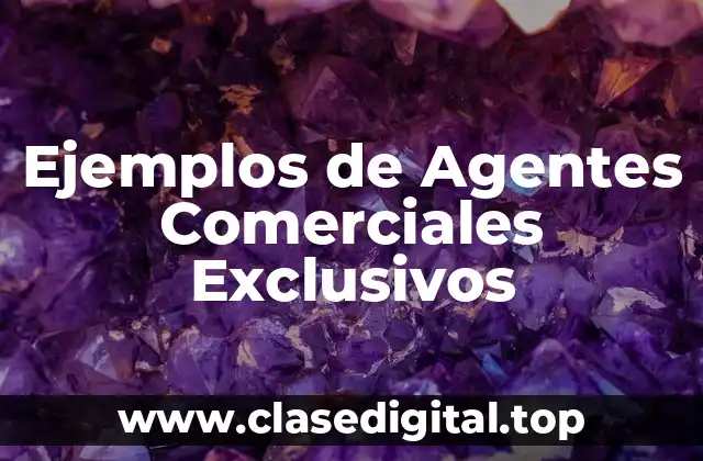 Ejemplos de Agentes Comerciales Exclusivos