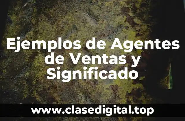 Ejemplos de Agentes de Ventas y Significado