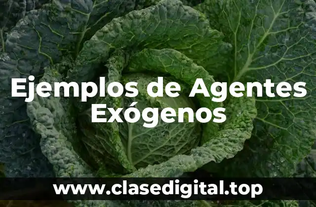 Ejemplos de Agentes Exógenos