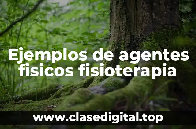 Ejemplos de agentes fisicos fisioterapia