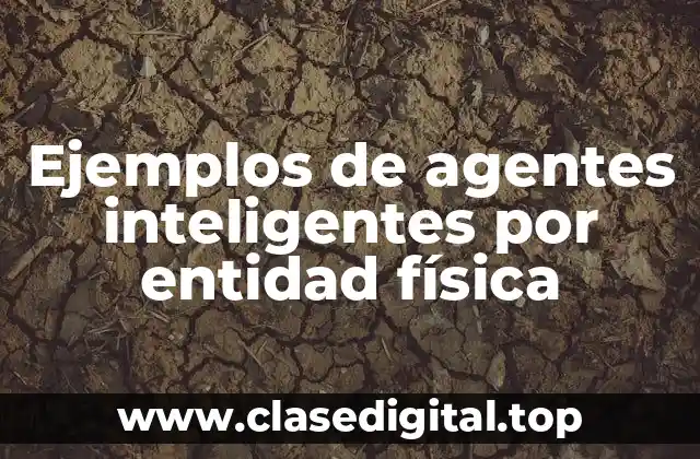 Ejemplos de agentes inteligentes por entidad física