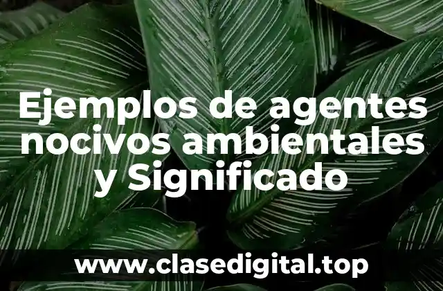 Ejemplos de agentes nocivos ambientales y Significado