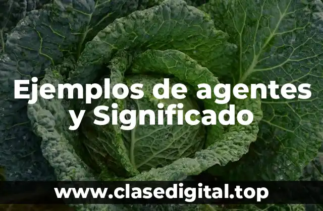 Ejemplos de agentes y Significado
