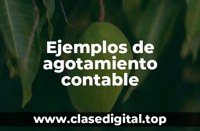 Ejemplos de agotamiento contable
