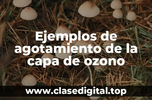 Ejemplos de agotamiento de la capa de ozono