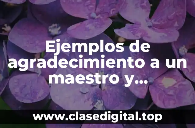 Ejemplos de agradecimiento a un maestro y Significado