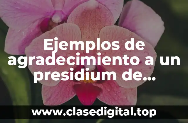 Ejemplos de agradecimiento a un presidium de universidad