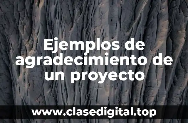Ejemplos de agradecimiento de un proyecto