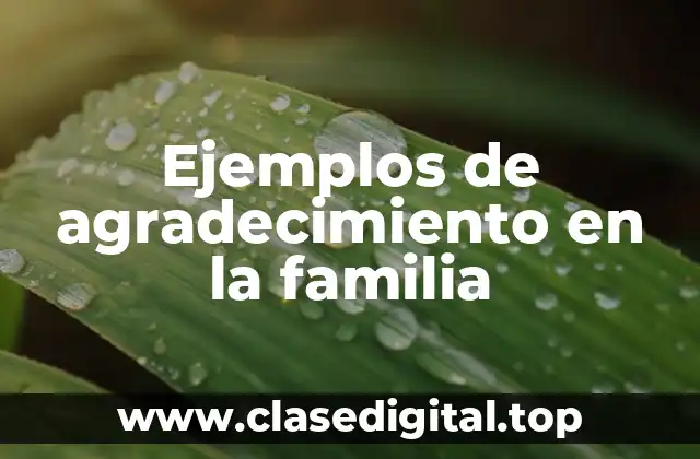 Ejemplos de agradecimiento en la familia