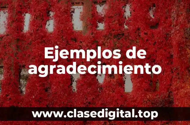 Ejemplos de agradecimiento