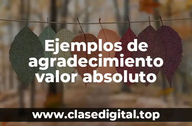 Ejemplos de agradecimiento valor absoluto