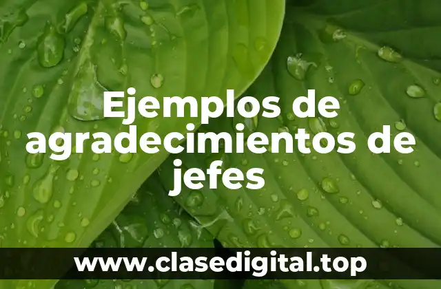 Ejemplos de agradecimientos de jefes