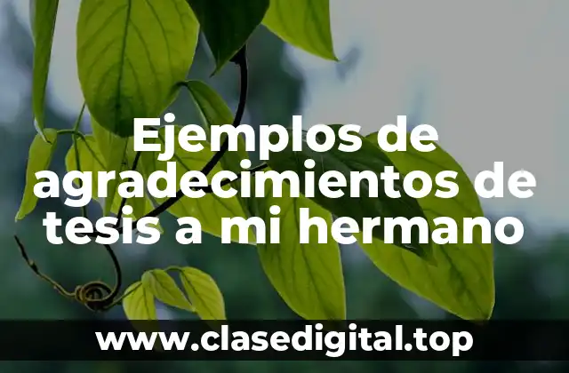 Ejemplos de agradecimientos de tesis a mi hermano