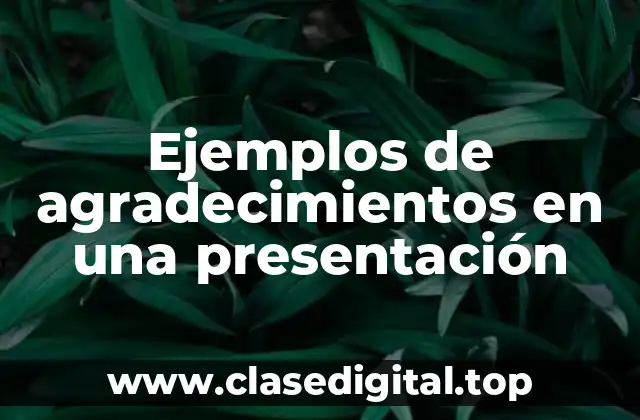 Ejemplos de agradecimientos en una presentación