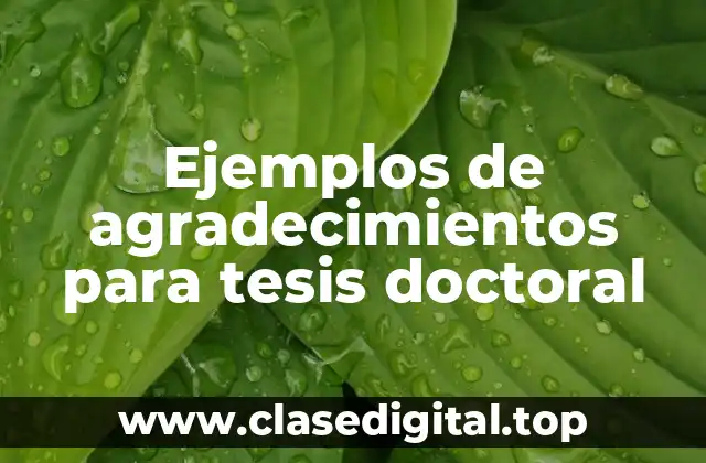 Ejemplos de agradecimientos para tesis doctoral