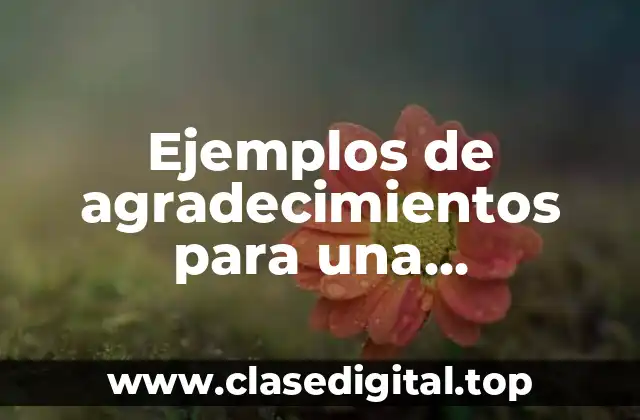 Ejemplos de agradecimientos para una presentación ejecutiva