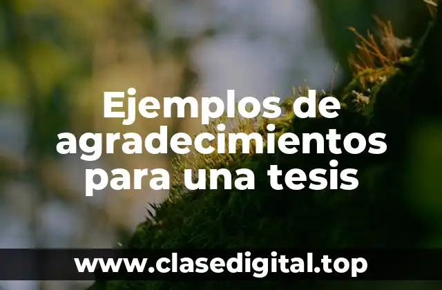 Ejemplos de agradecimientos para una tesis