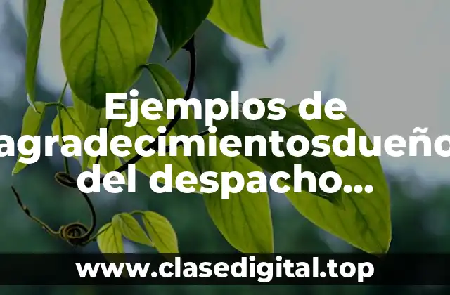 Ejemplos de agradecimientosdueño del despacho contable