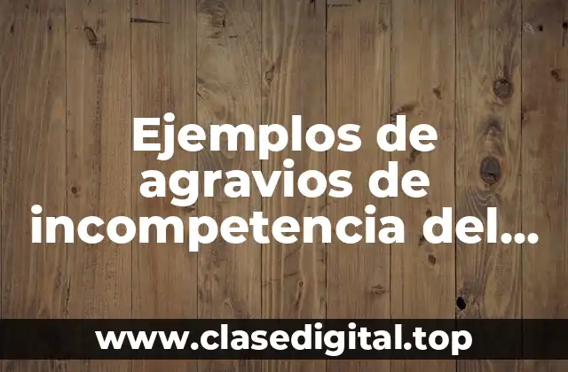 Ejemplos de agravios de incompetencia del estado