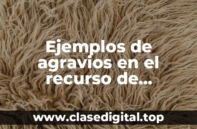 Ejemplos de agravios en el recurso de reclamación