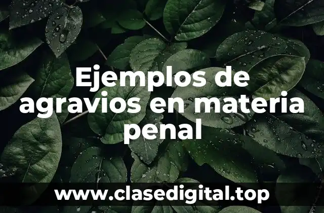Ejemplos de agravios en materia penal