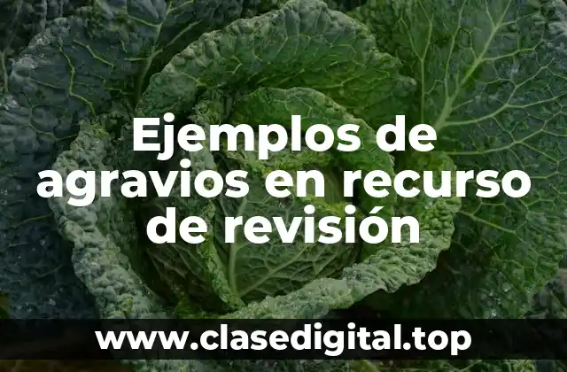 Ejemplos de agravios en recurso de revisión