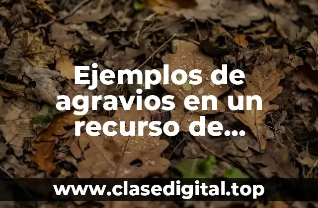 Ejemplos de agravios en un recurso de inconformidad