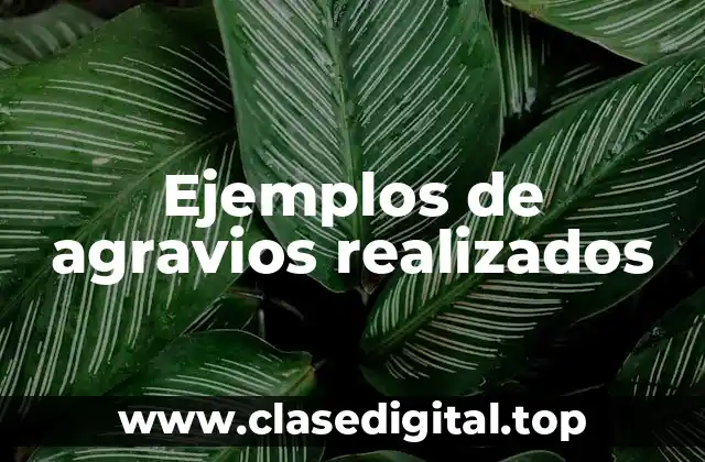 Ejemplos de agravios realizados