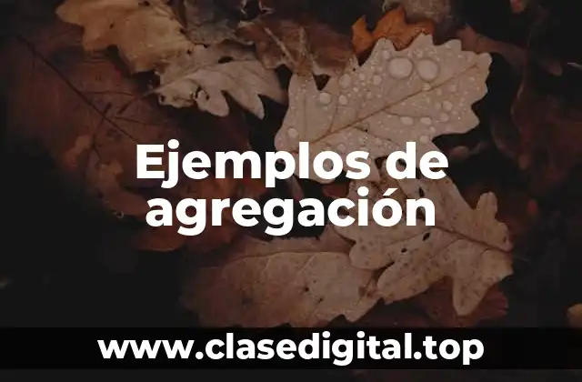 Ejemplos de agregación