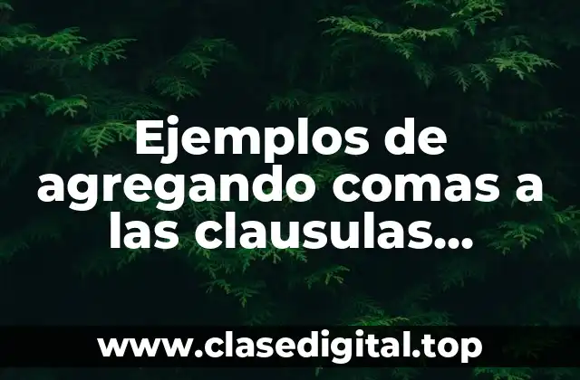 Ejemplos de agregando comas a las clausulas relativas