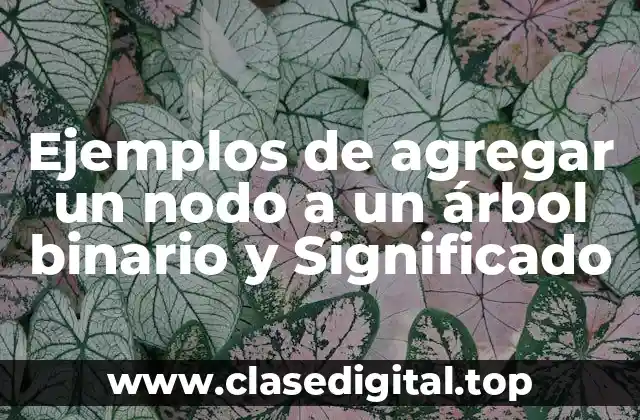 Ejemplos de agregar un nodo a un árbol binario y Significado