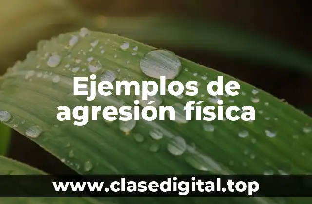 Ejemplos de agresión física