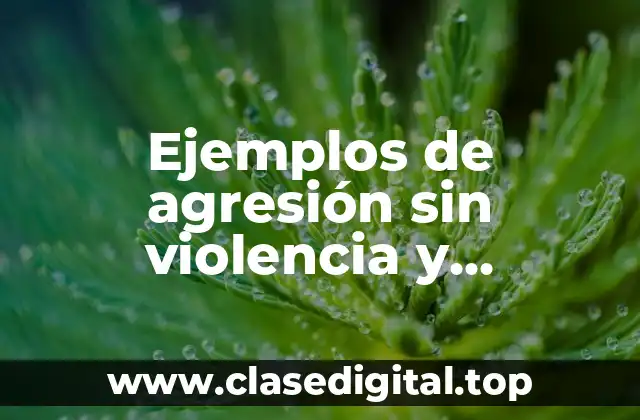 Ejemplos de agresión sin violencia y Significado