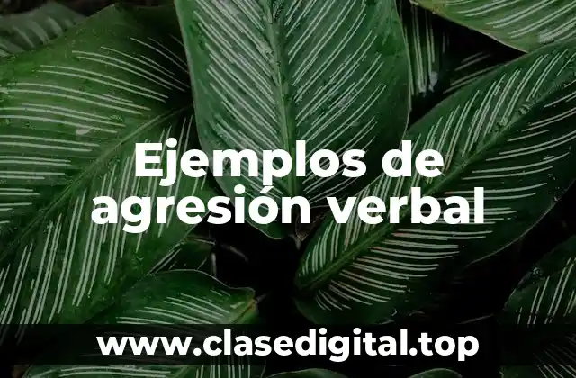 Ejemplos de agresión verbal