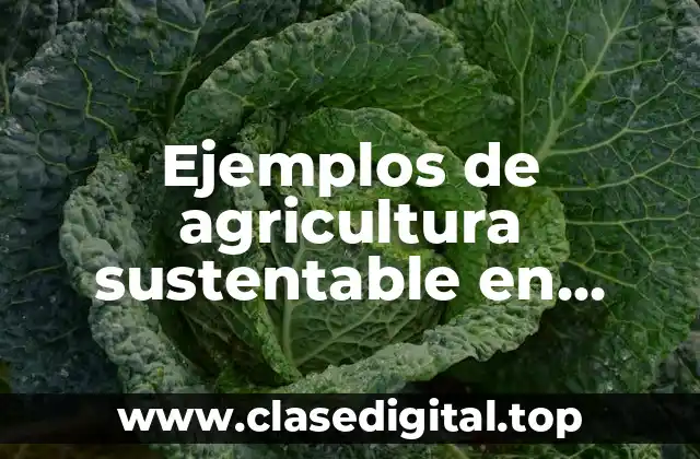 Ejemplos de agricultura sustentable en Argentina