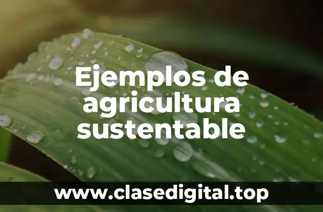 Ejemplos de agricultura sustentable
