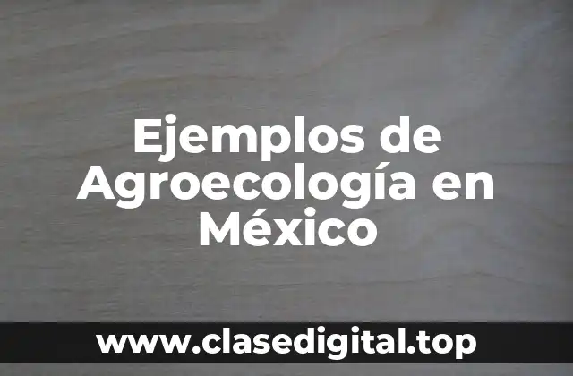 Ejemplos de Agroecología en México
