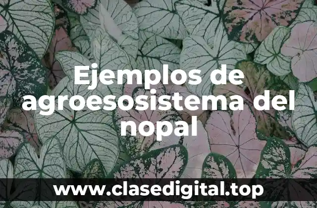 Ejemplos de agroesosistema del nopal